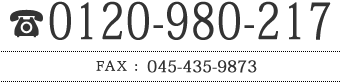 0120-980-217